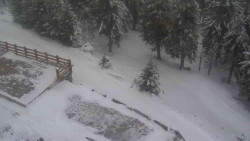 Přístup na běžeckou trať