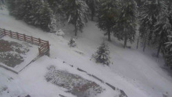 Přístup na běžeckou trať