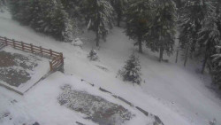 Přístup na běžeckou trať