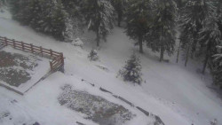 Přístup na běžeckou trať