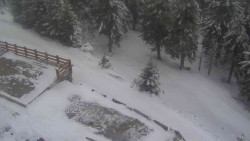 Přístup na běžeckou trať