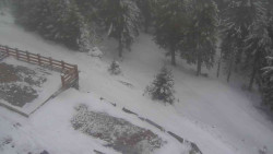 Přístup na běžeckou trať