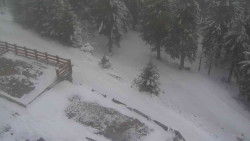 Přístup na běžeckou trať