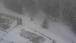 Přístup na běžeckou trať