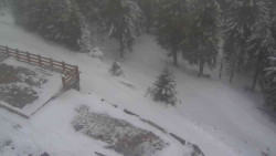 Přístup na běžeckou trať