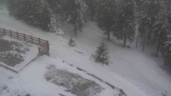 Přístup na běžeckou trať