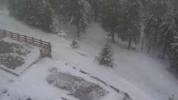 Přístup na běžeckou trať