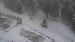 Přístup na běžeckou trať