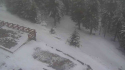 Přístup na běžeckou trať