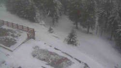 Přístup na běžeckou trať