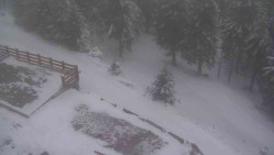 Přístup na běžeckou trať