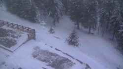 Přístup na běžeckou trať