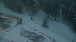 Přístup na běžeckou trať