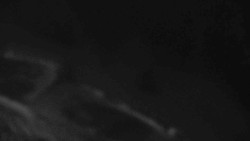 Přístup na běžeckou trať