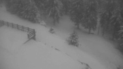 Přístup na běžeckou trať