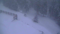 Přístup na běžeckou trať