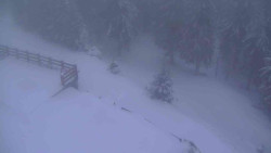 Přístup na běžeckou trať