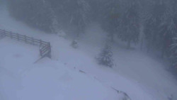 Přístup na běžeckou trať