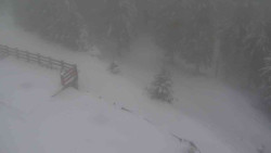 Přístup na běžeckou trať