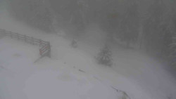 Přístup na běžeckou trať