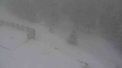 Přístup na běžeckou trať