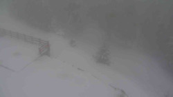 Přístup na běžeckou trať