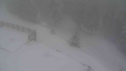 Přístup na běžeckou trať