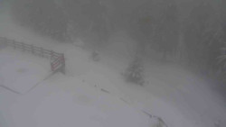 Přístup na běžeckou trať