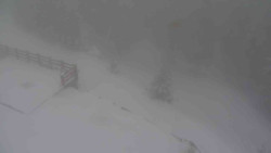 Přístup na běžeckou trať