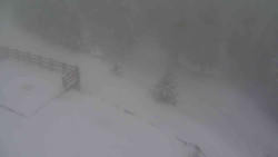 Přístup na běžeckou trať