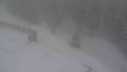 Přístup na běžeckou trať