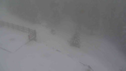 Přístup na běžeckou trať