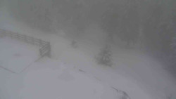 Přístup na běžeckou trať