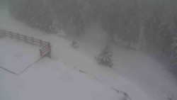 Přístup na běžeckou trať