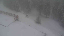 Přístup na běžeckou trať