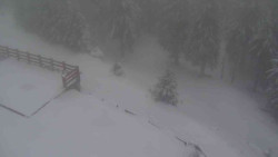 Přístup na běžeckou trať