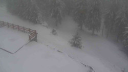 Přístup na běžeckou trať