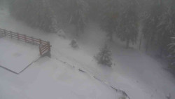 Přístup na běžeckou trať