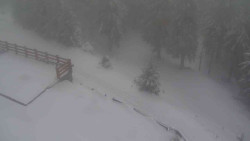 Přístup na běžeckou trať