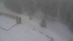 Přístup na běžeckou trať