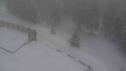 Přístup na běžeckou trať