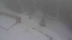 Přístup na běžeckou trať