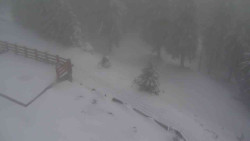 Přístup na běžeckou trať