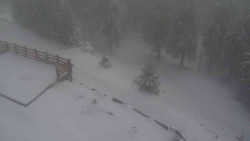 Přístup na běžeckou trať