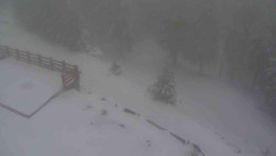 Přístup na běžeckou trať