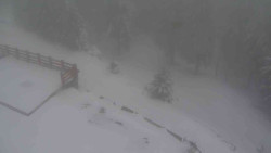 Přístup na běžeckou trať