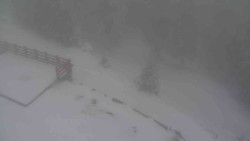 Přístup na běžeckou trať