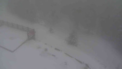 Přístup na běžeckou trať