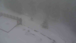 Přístup na běžeckou trať