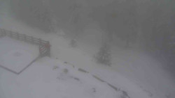 Přístup na běžeckou trať